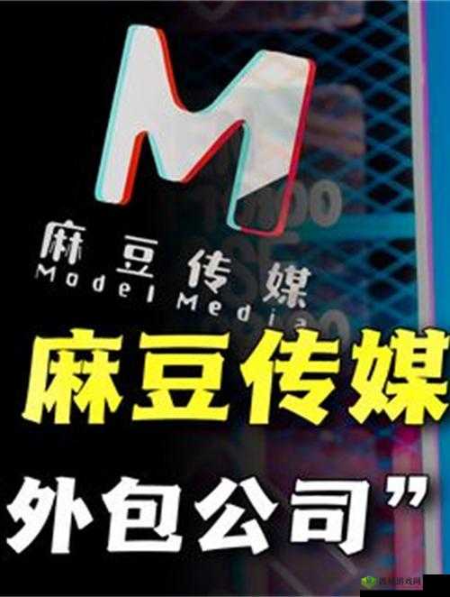 麻花传媒 CEO：引领行业创新的先锋人物