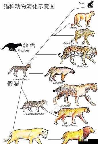 通神榜毒纹猫杀手2解锁攻略:如何解锁毒纹猫杀手角色?