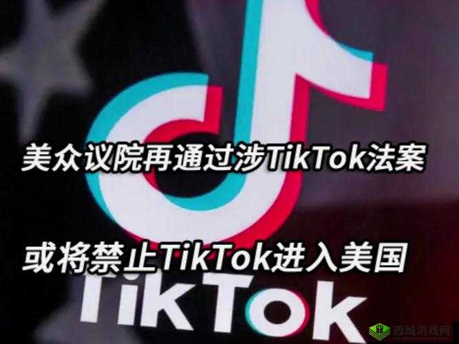 未满十八岁禁止进入服务器- 美国法律的严格要求