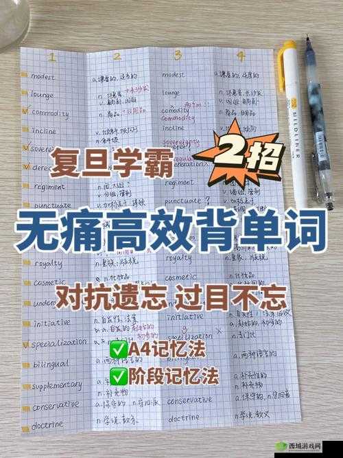 坐在爸爸的大紫根上背单词:一段独特的学习经历