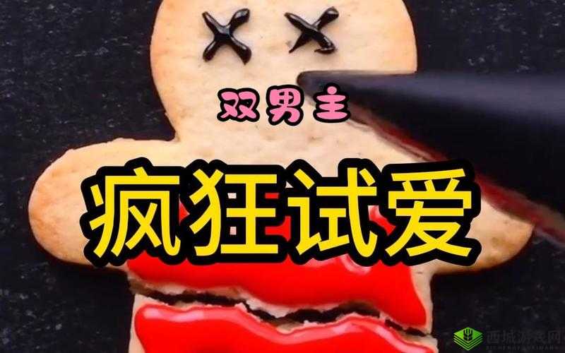 疯狂试爱三：一场惊心动魄的爱情冒险之旅