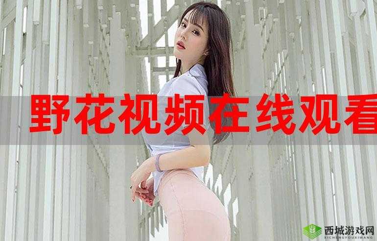 野花视频在线观看免费完整版 3 :精彩内容不容错过